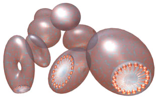 [Diagram of various micelles]