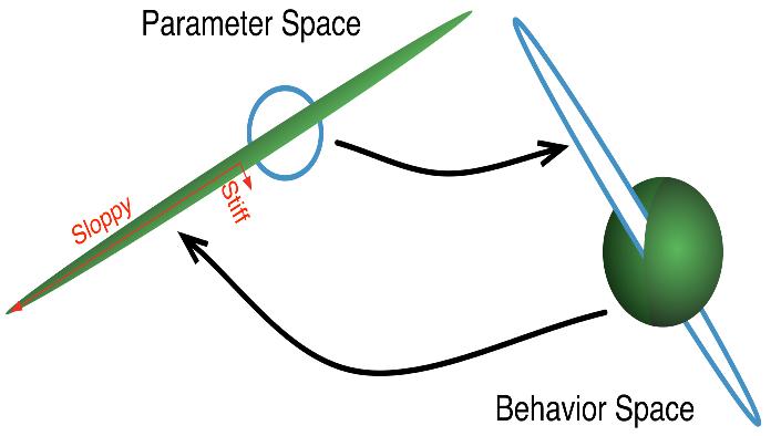 Parameter Space to Behavior Space